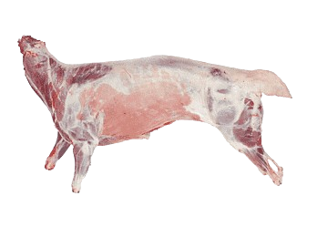 Sheep Meat